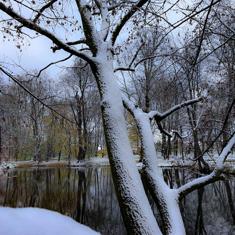 Zima 2023. Pierwszy śnieg w Rzeszowie [Park im. Szafera] - fot 14